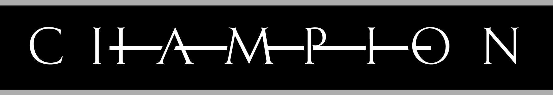 Jeff Swope - Champion Partners