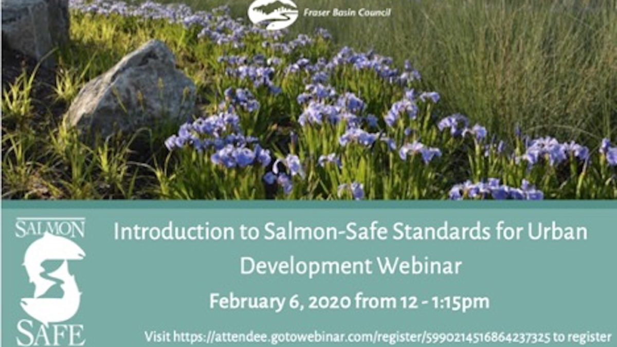 Introduction to SalmonSafe Standards for Urban Development inar