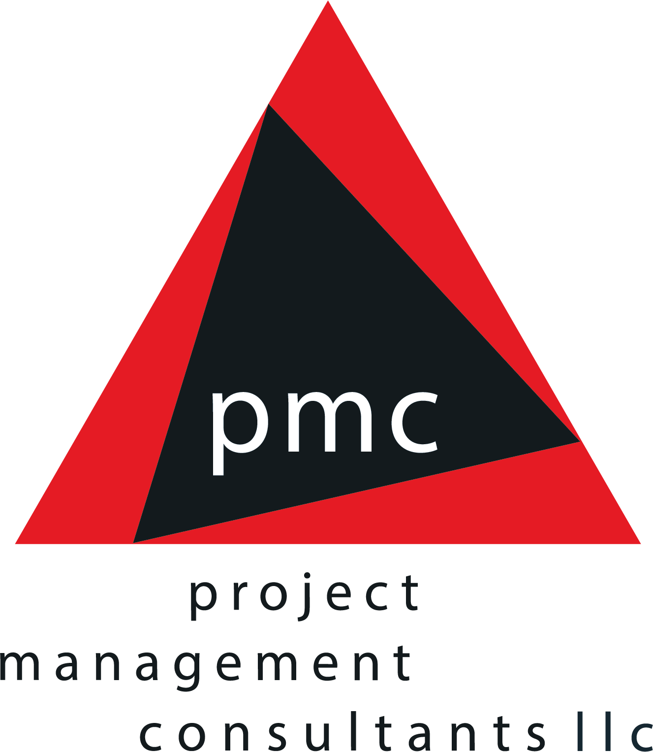 Project Management Consultants