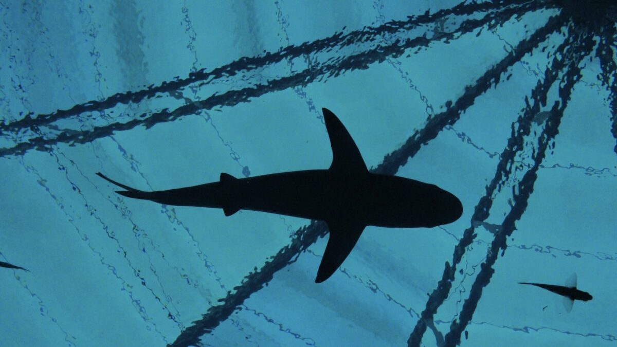 Shark Tank 2025 Call for Proposals ULI Philadelphia