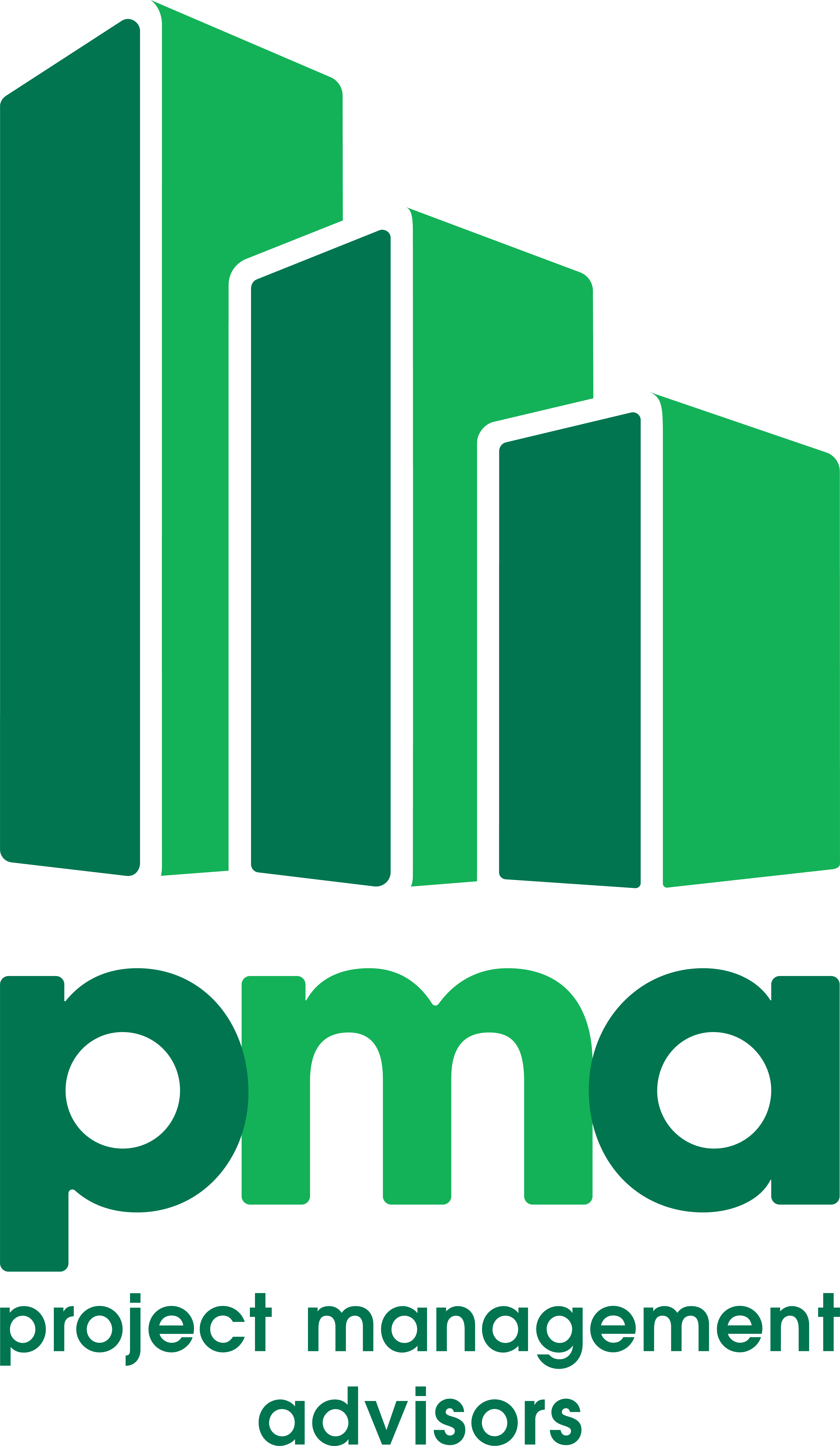 Project Management Advisors