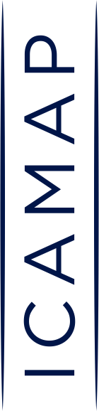 Icamap Advisory France