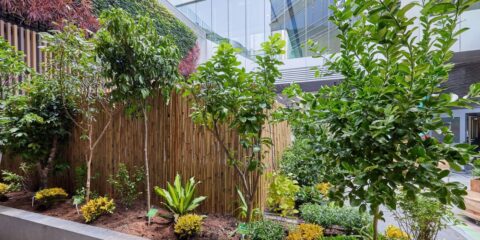 About our plants | ULI Hong Kong