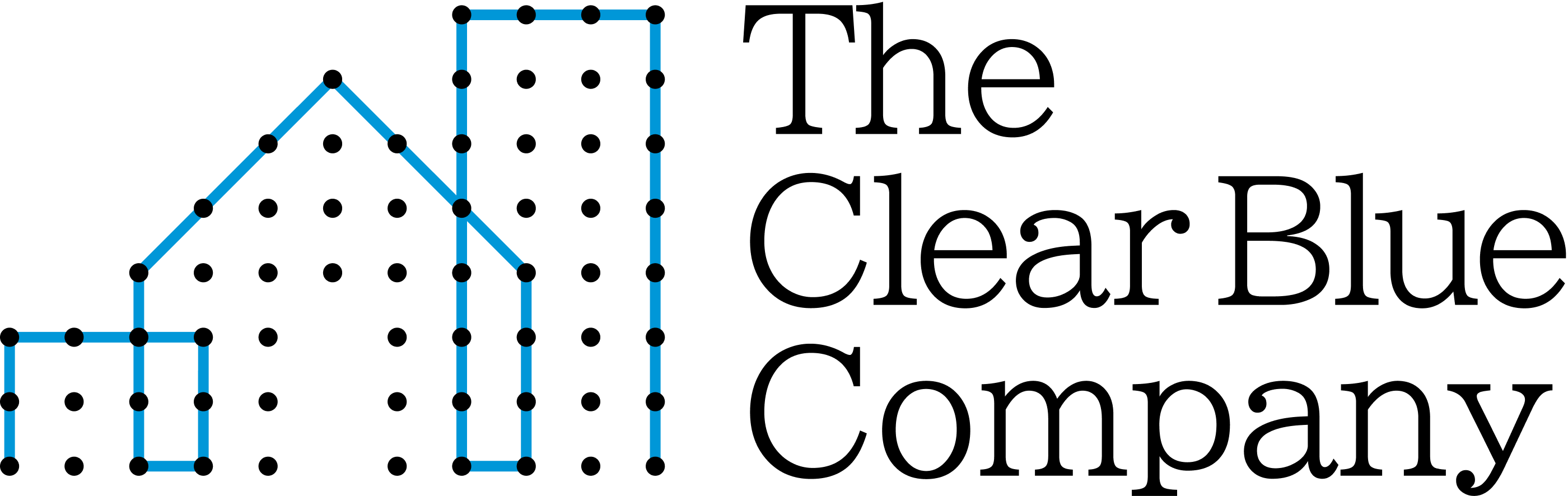 The Clear Blue Company