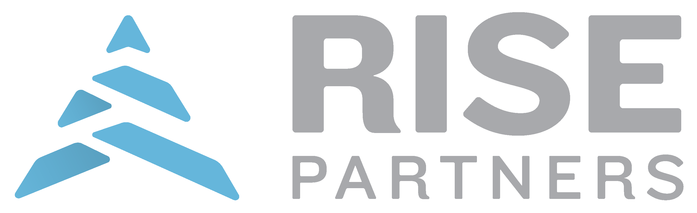 Rise Partners